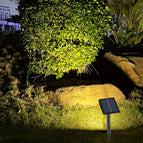 Geel Licht 1 Verpakking