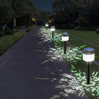 Wit Licht 4 Pakjes