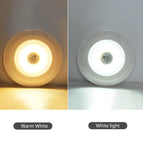 Warm Wit / 2 Stuks