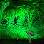 Groen Licht, 2 Stuks