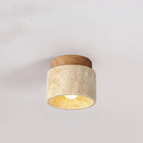 Hout (Klein) / Licht met 3 kleuren