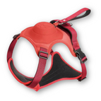 Rood / M - (5-13 Kg)