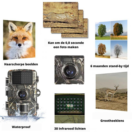 TrailVision – Compacte 4K Buiten Camera met Nachtzicht