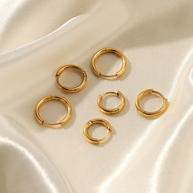 Sophia Hoop Earrings – Elegante Oorbellen in Zilver