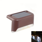 Bruin Shell Wit Licht / 4 st