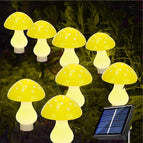 8 Hele Gele Champignons