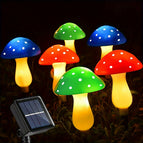 6 Kleurrijke Paddenstoelen