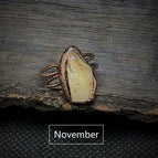 November & Citrien