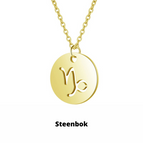 Steenbok / Zilver