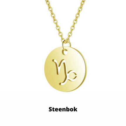 Zodiac Necklace | Duurzaam RVS, Blijft Stralend!