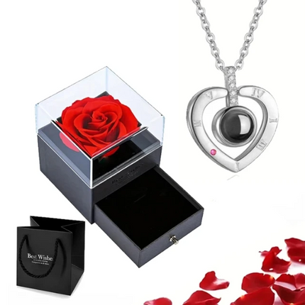EternalLove Necklace – Hartvormige Ketting in 100 Talen