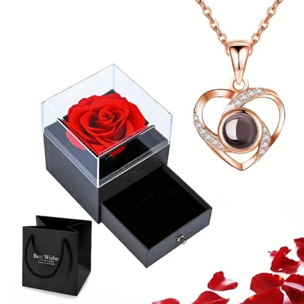 EternalLove Necklace – Hartvormige Ketting in 100 Talen