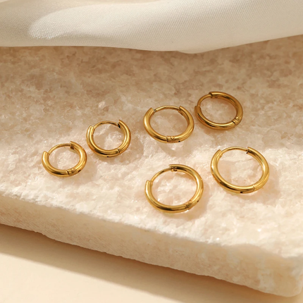 Sophia Hoop Earrings – Elegante Oorbellen in Zilver