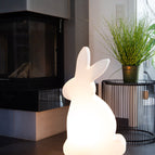 70 cm / LED WW