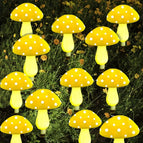 12 Hele Gele Champignons