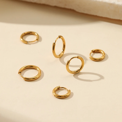 Sophia Hoop Earrings – Elegante Oorbellen in Zilver