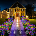 Multicolor / 420 LED's
