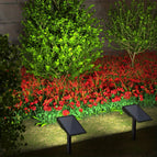 Geel Licht, 2 Stuks