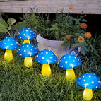 6 Hele Blauwe Champignons