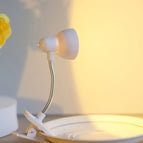 Wit Shell Geel Licht