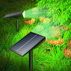 Groen Licht 1 Pak