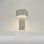 Lichtgrijs