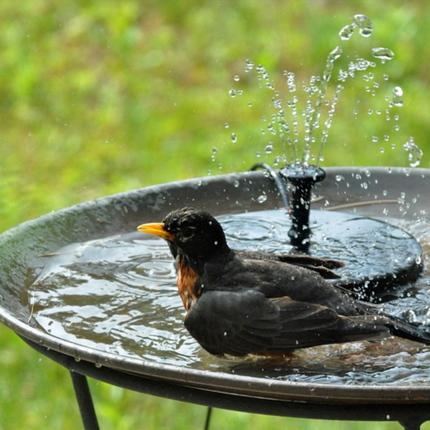 Flowbee – Elegante Solarfontein voor Tuinvogels