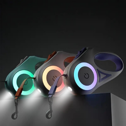 SafeWalk Leash – Verlichte Hondriem voor Veilig Wandelen