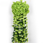 Groen / 1 + 1 Gratis