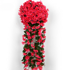 Rood / 1 + 1 Gratis