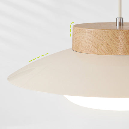 Culinaire Charm – Creatieve Glutinous Rice Bowl Hanglamp