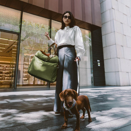 PawLuxury - Luxe Hondengereedschap voor Comfortabele Autoreizen