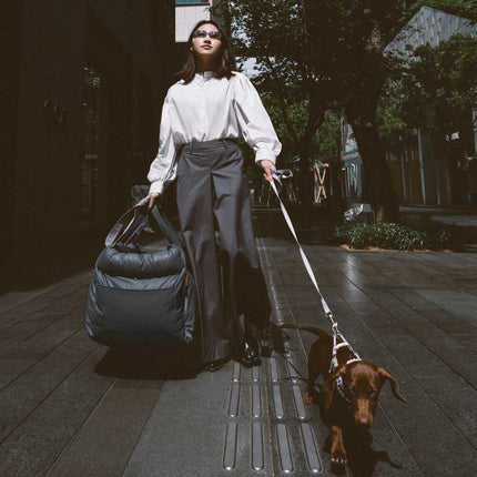 PawLuxury - Luxe Hondengereedschap voor Comfortabele Autoreizen