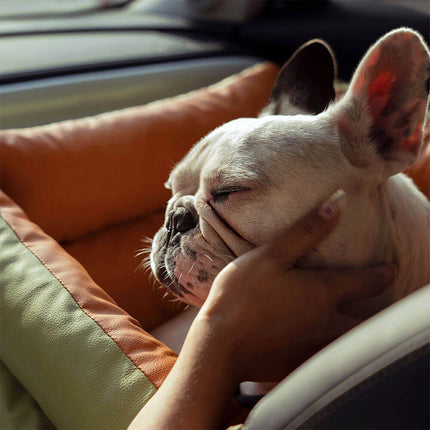 PawLuxury - Luxe Hondengereedschap voor Comfortabele Autoreizen
