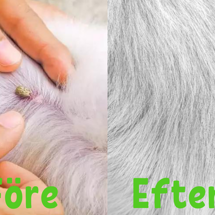 FleaShield Collar – Bescherming tegen Vlooien en Teken