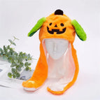 Halloween Pompoen
