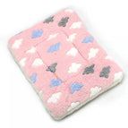 Roze met wolken / 30X40cm