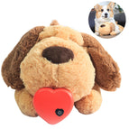 Hond