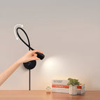 Wit Licht