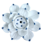 M - Wit met Blauwe puntjes