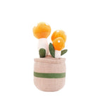 Oranje Paddenstoel