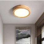 Typ B / 3 Kleuren Licht / Diameter 20cm