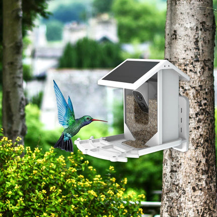 Draadloze Solar Vogelvoederplaats - Verken de natuur op unieke wijze!