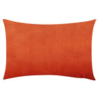 Oranje / 30cm x 50cm