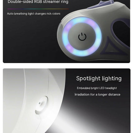 Automatische Hondenriem Met Geïntegreerd Licht