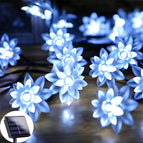 Lotus / 5M 20 LED's 2 modi