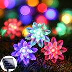 Lotus / 12M 100 LED's 8 modi