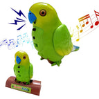 Groen