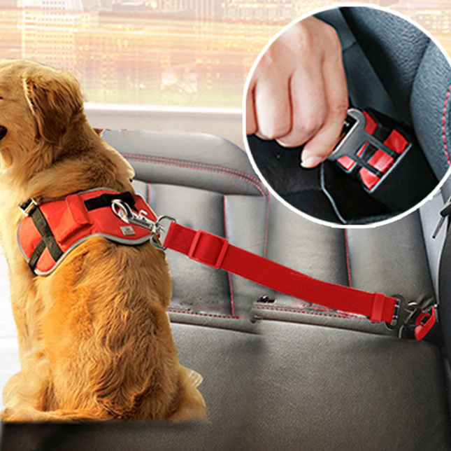 SafePaw – Luxe Honden Autoriem voor Veiligheid