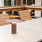 Bruin